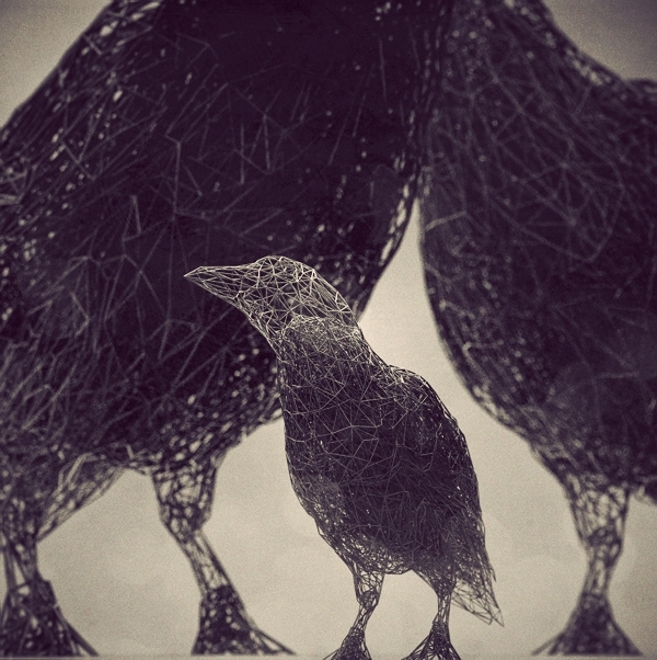 d06641b82658c61234941c91d3dc8d0a