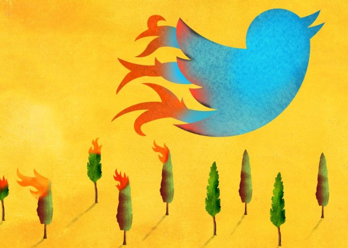 270247_400765666677438_1297314108_n