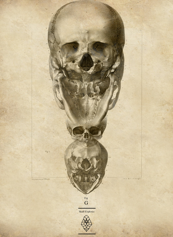 0cfd6db9f0f60ec82385c3feaa621896