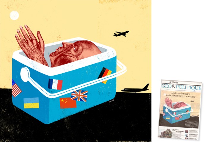 tissus01adriafruitos