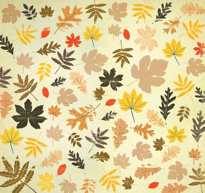 alim full texture copy_800