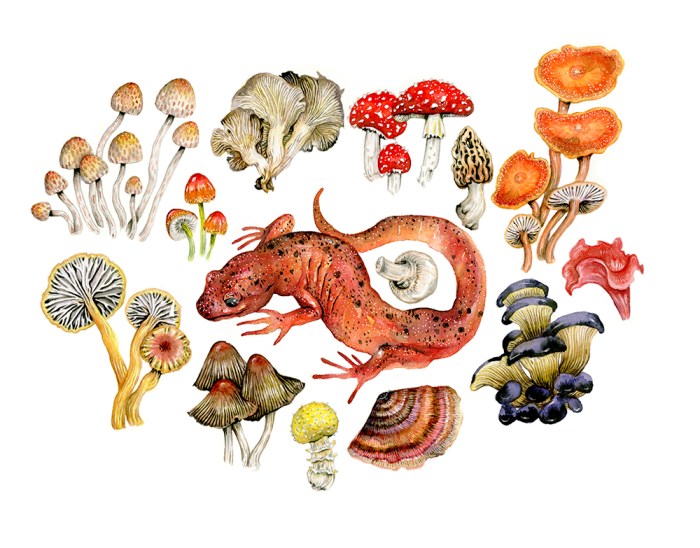 e6afef4810552d81a14b224f2a93f800