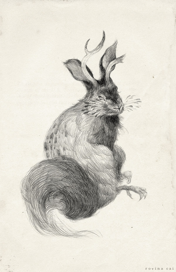 rovinacai_wolpentinger