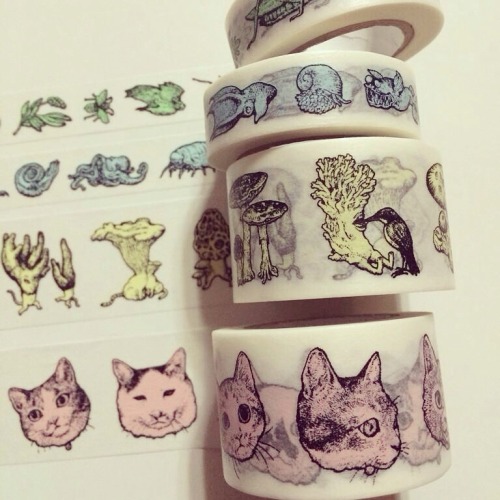 tumblr_nau1pfCkVH1qzfanlo3_500