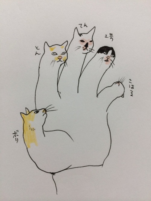 tumblr_nbzxl879RV1qzfanlo1_500