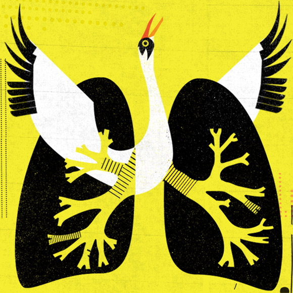 tumblr_n0hqlpN8xb1qav5oho1_1280