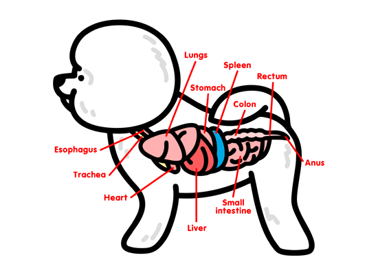 f34462df7b91168b2cc758b1c3e8eb1e