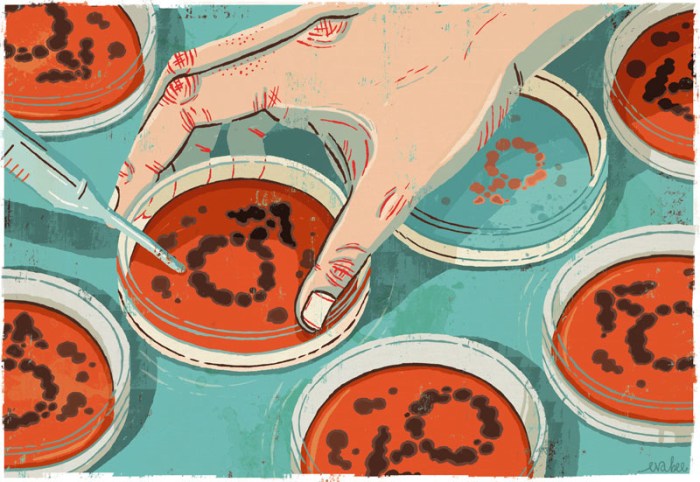 Nature_cell_illustration_800