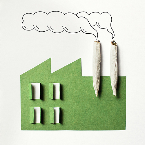 matt-chase-MIT-Technology-Review-marijuana-grow-houses