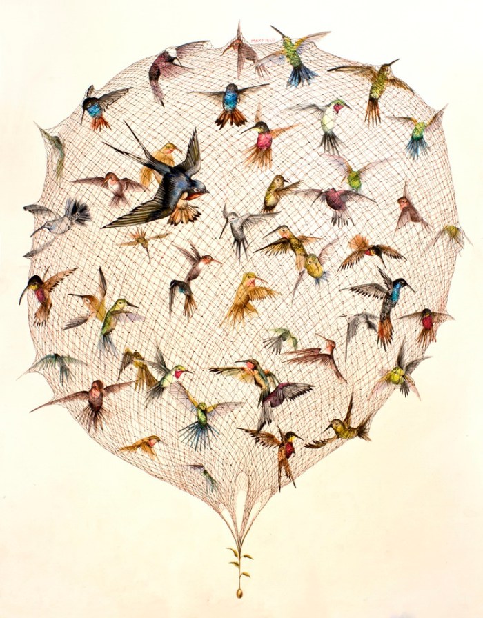 TheSwallowandTheOtherBirds+copy