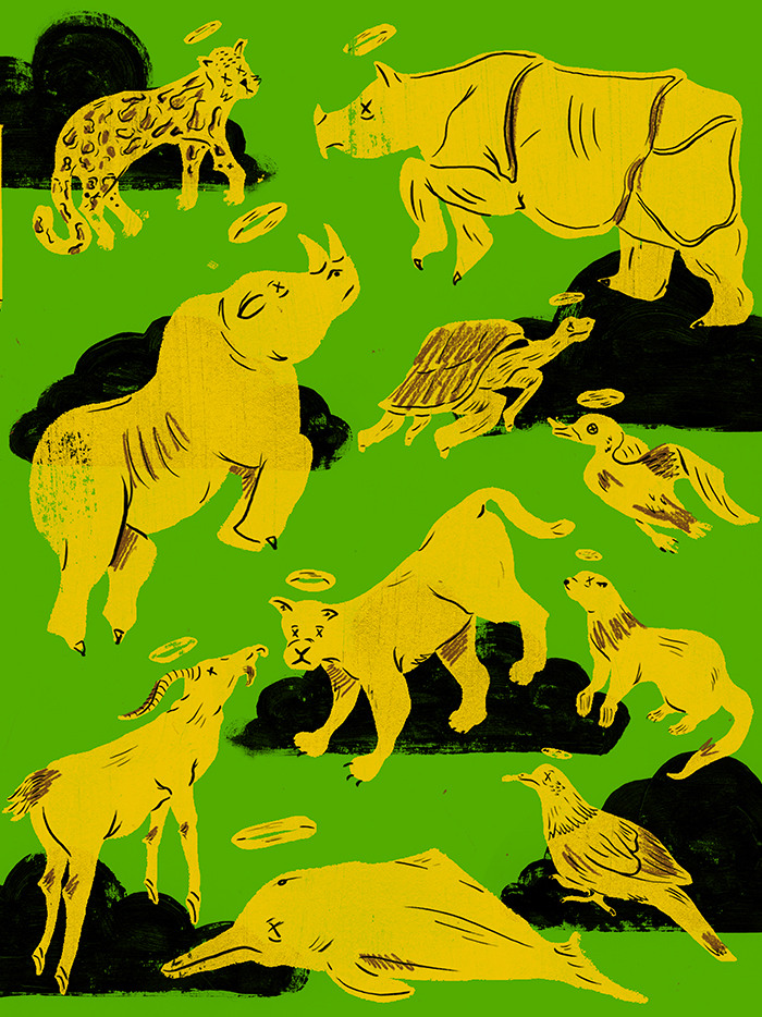 kwhipple_extinctanimals