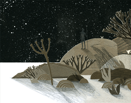 nightSkies_gif_nancyLiang_2014