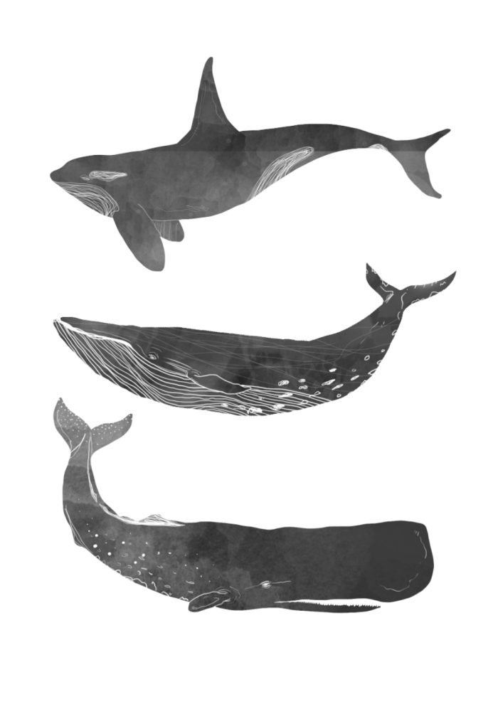 screen-shot-2016-01-30-at-12-38-48_972