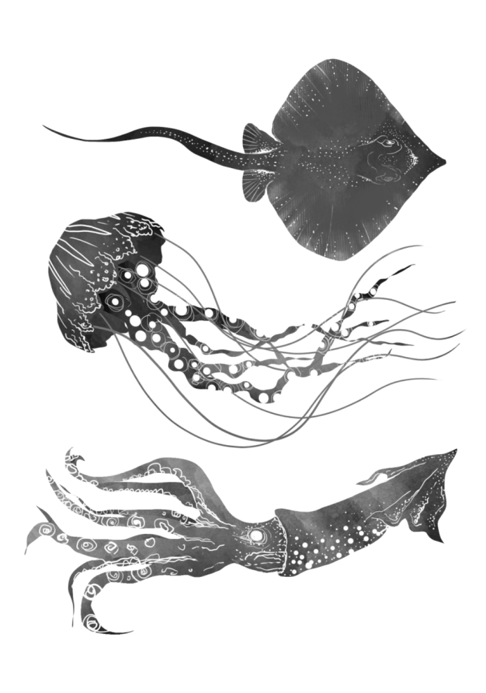 screen-shot-2016-01-30-at-12-39-11_980