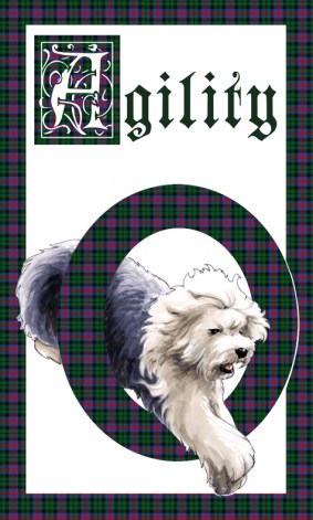 old_english_sheepdog__agility_by_allisonsohn-d4al1hj