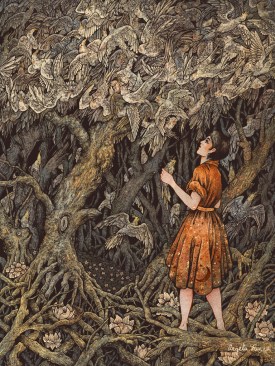 38ca358ac7f2a251-cockatielssmall