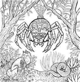 9077230782d03de5-spider