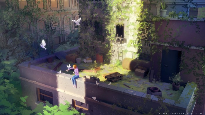 sylvain-sarrailh-birdshd