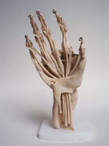 Merlin-Strangeway-modeled-hand